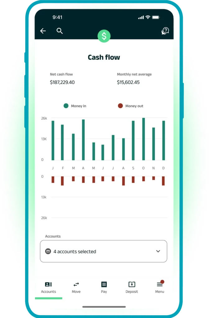 Cash flow analysis